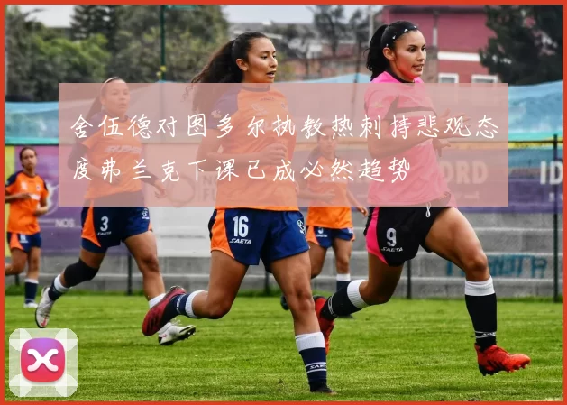 舍伍德对图多尔执教热刺持悲观态度弗兰克下课已成必然趋势