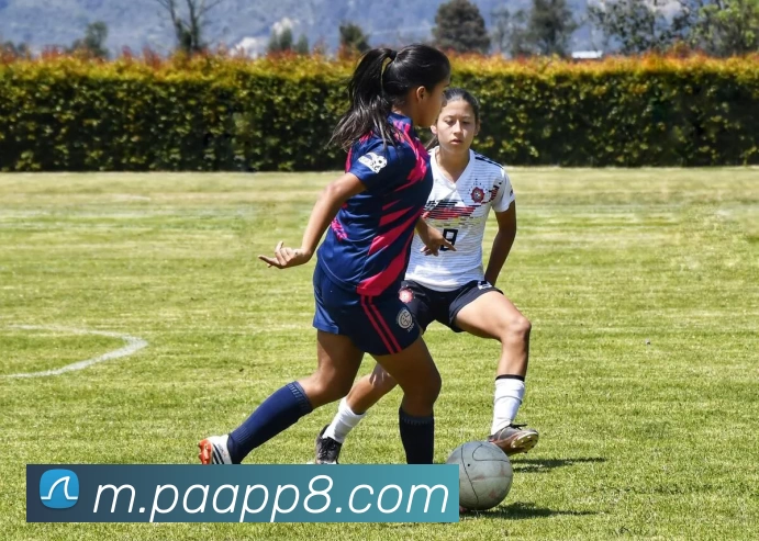 PA电子APPAPP 高清赛事图